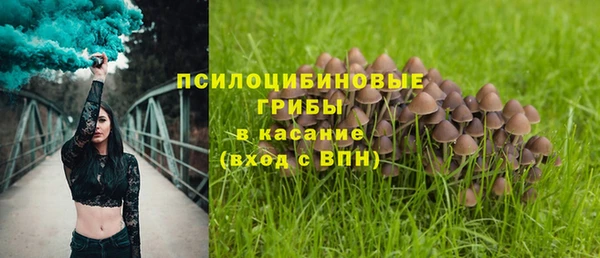 jwh Богородицк